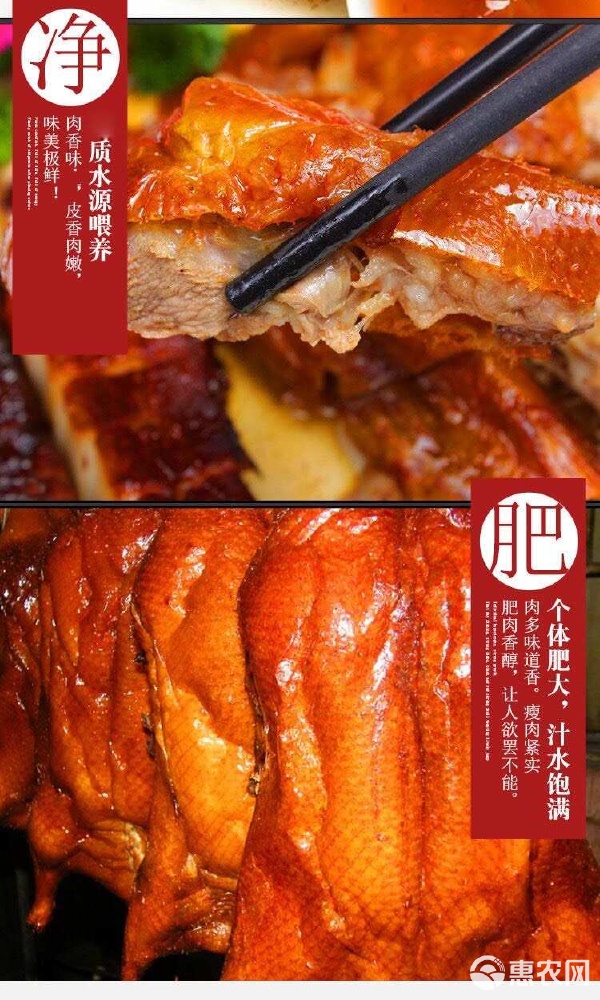 番禺区新鲜成品整只烧鸭广州发货｜预包装食品选购指南
